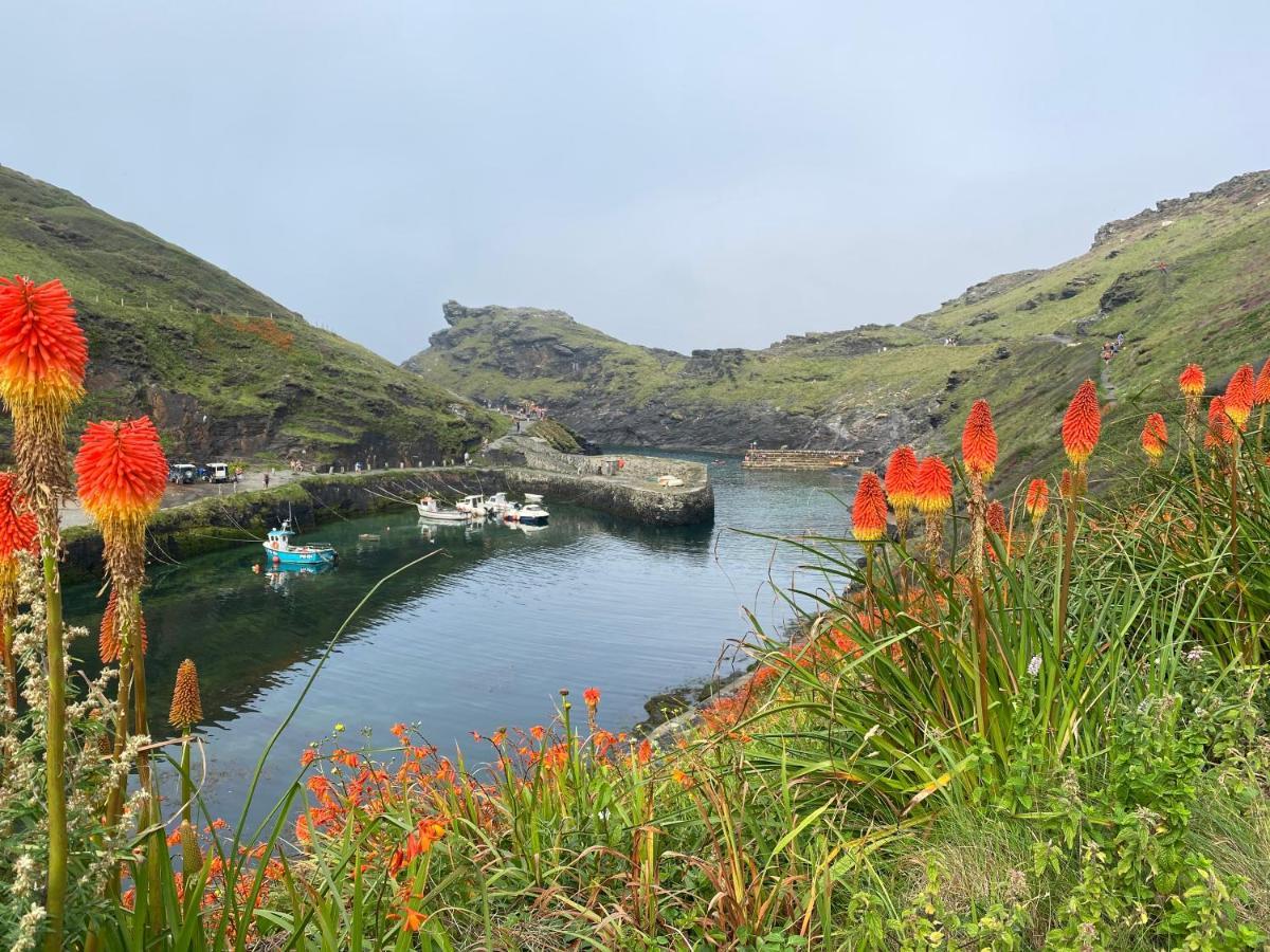 Harbour Light Leilighet Boscastle Eksteriør bilde