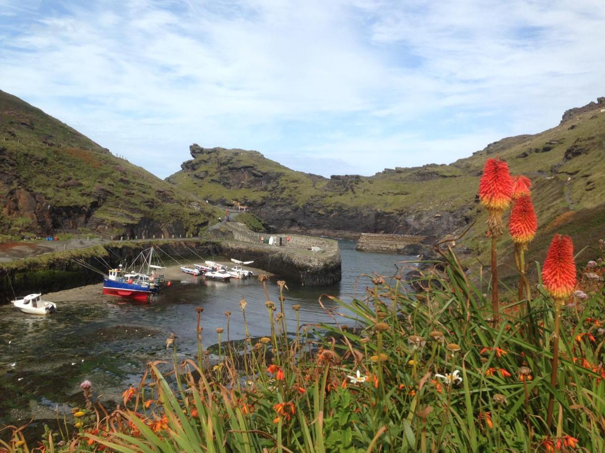 Harbour Light Leilighet Boscastle Eksteriør bilde